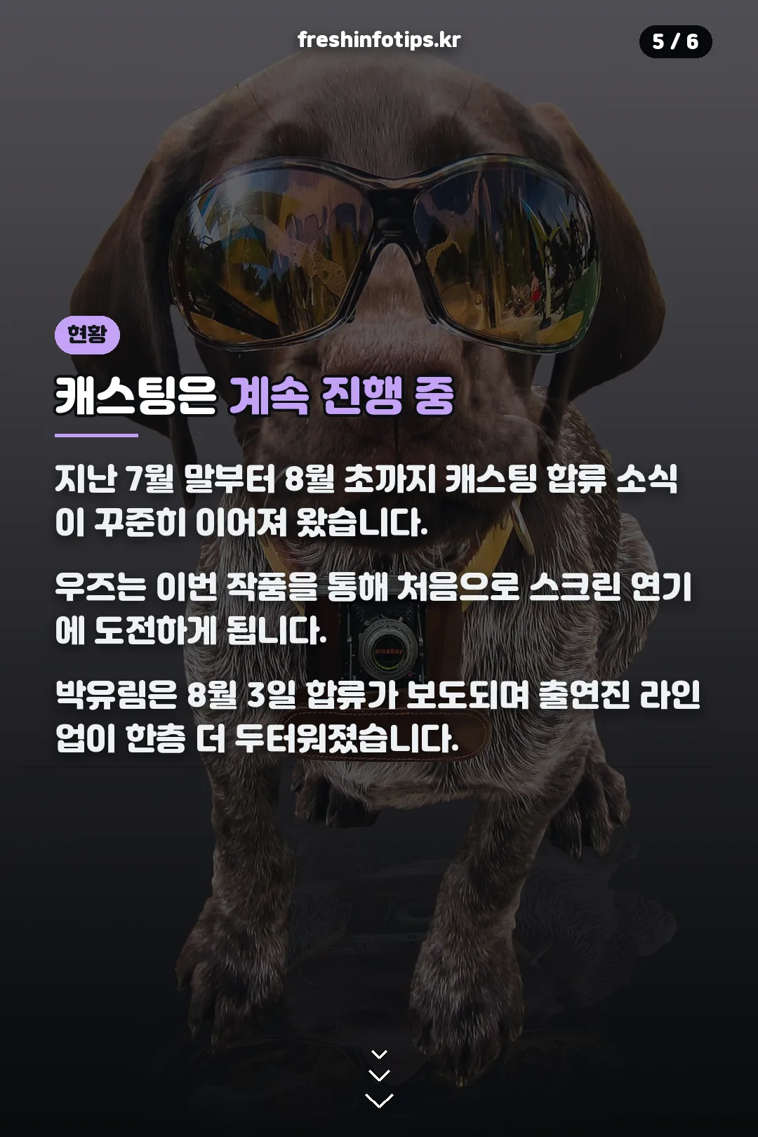 캐스팅 진행 현황