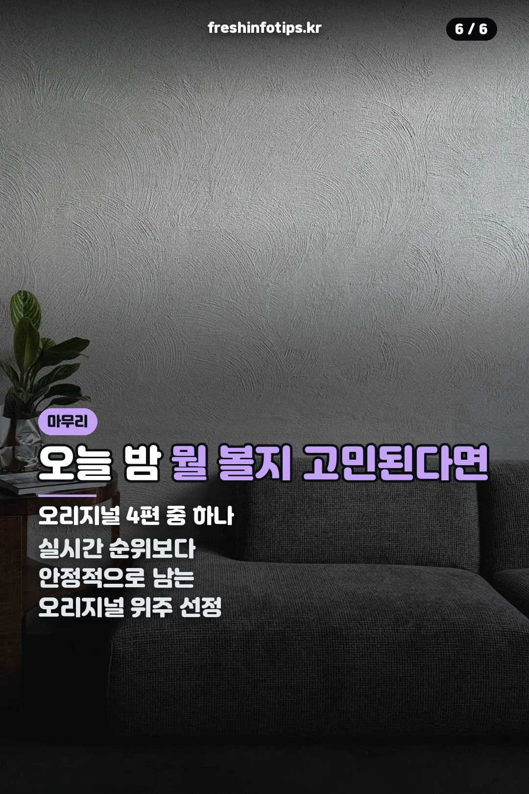 오늘 밤 뭘 볼지 고민된다면
