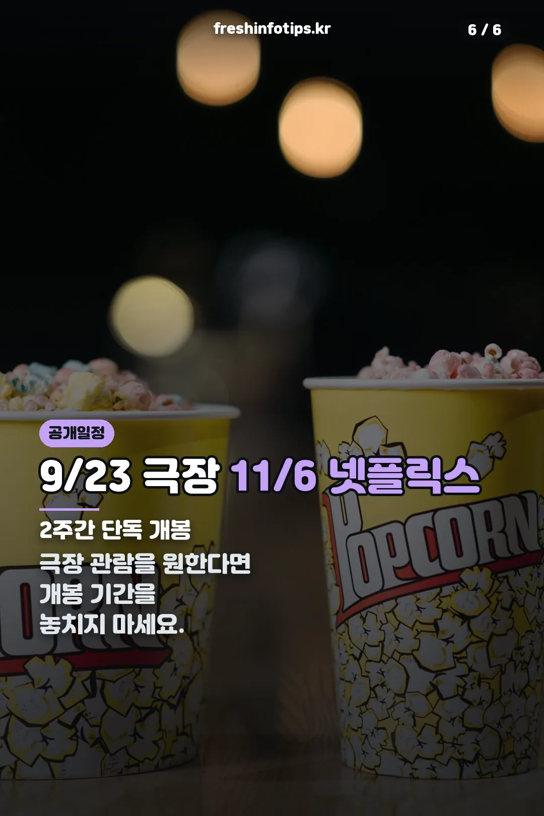 공개 일정 안내