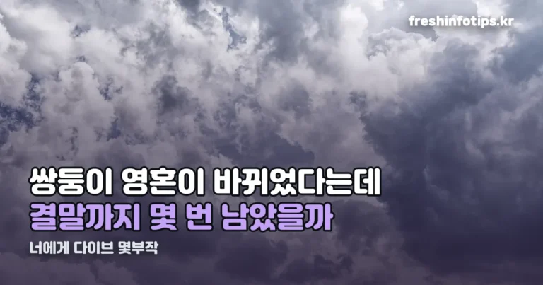 너에게 다이브 몇부작 정리 썸네일