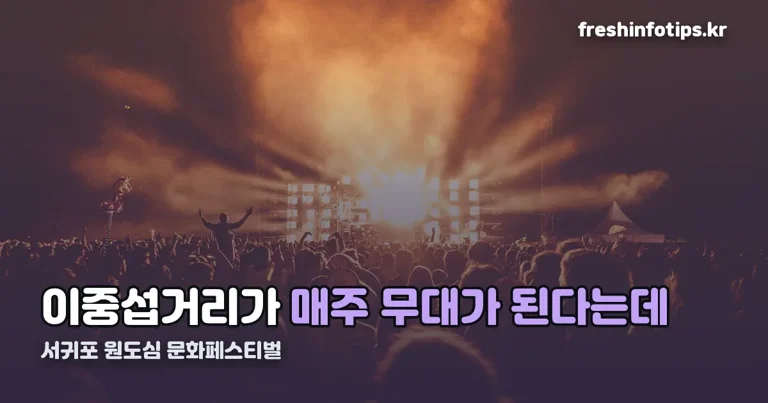 서귀포 원도심 문화페스티벌 정리 썸네일